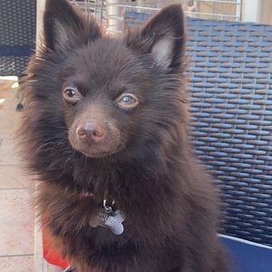 Meet your Posher, Erick